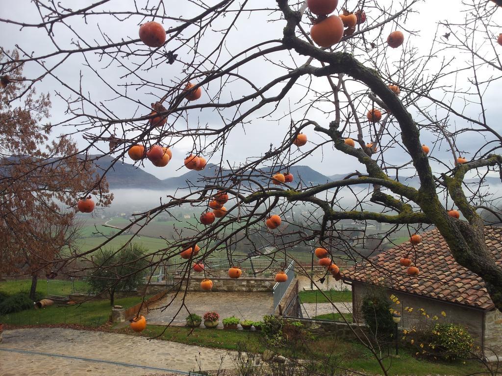 Fonte Chiara Villa Gubbio Eksteriør billede